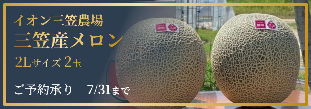 イオン三笠農場　三笠産メロン