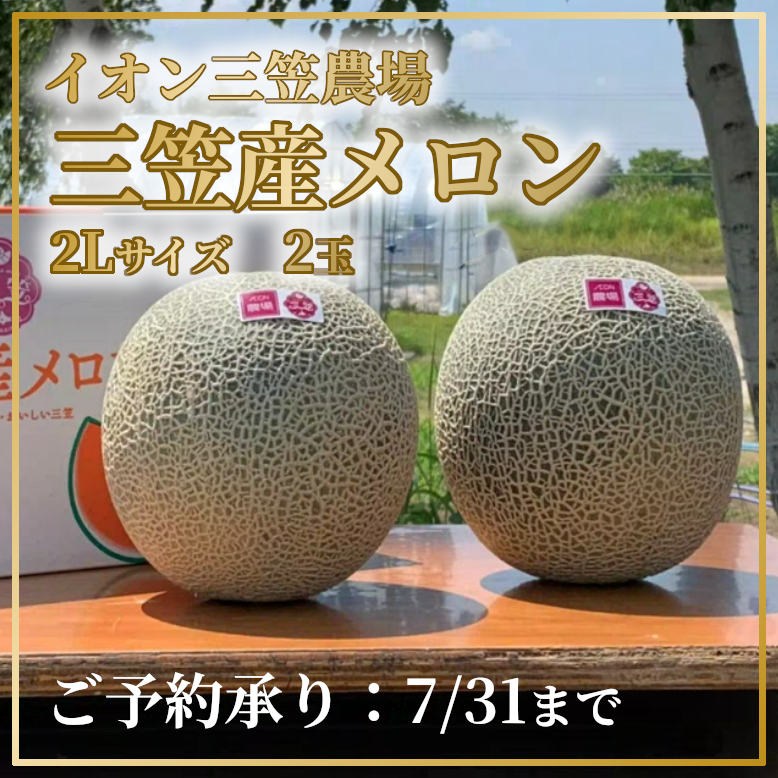 三笠メロン