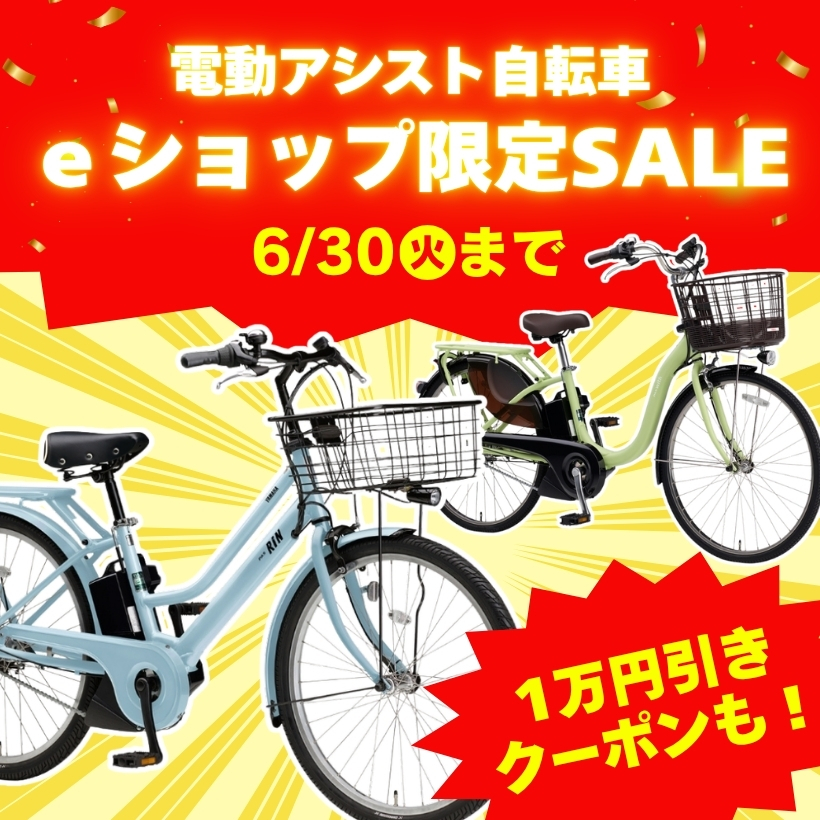 電動アシスト | イオン北海道 eショップ