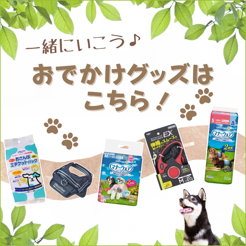 一緒におでかけ特集