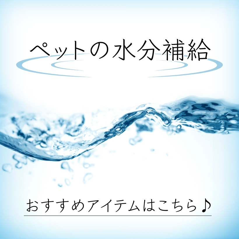 ペットの水分補給