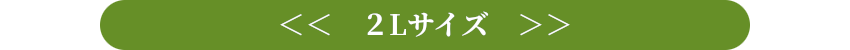 2Lサイズ