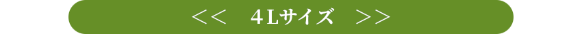 4Lサイズ