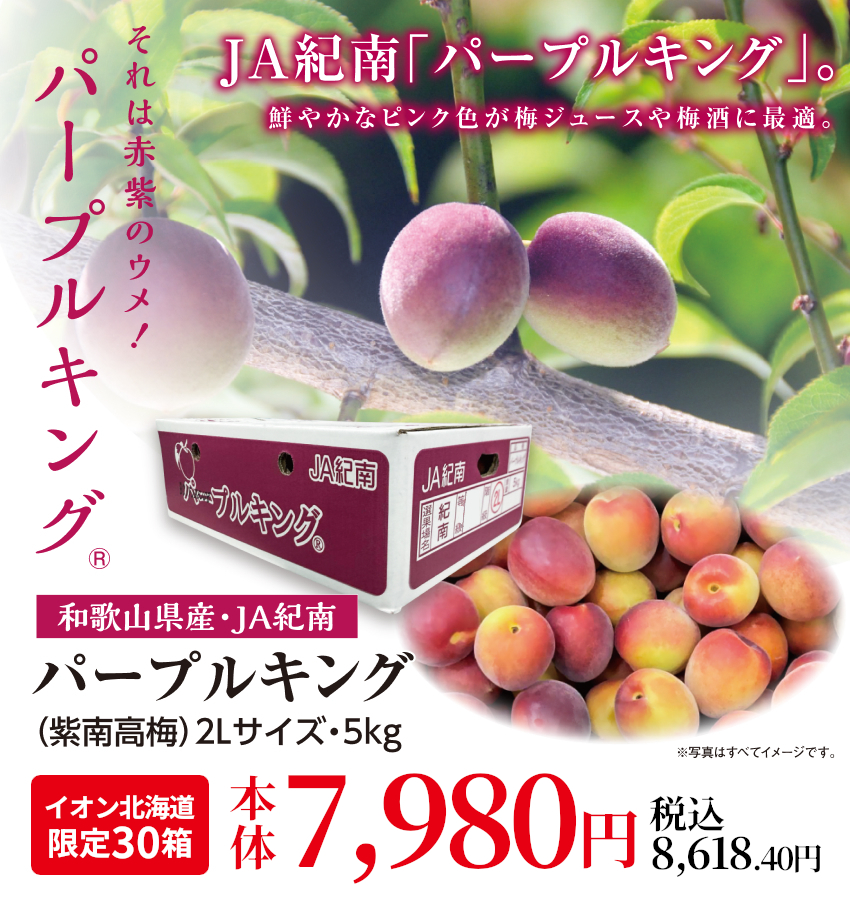 パープルキング（紫南高梅）　2Lサイズ5kg