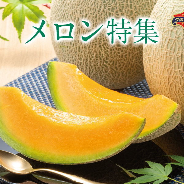 メロン特集