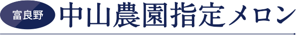 中山農園指定メロン