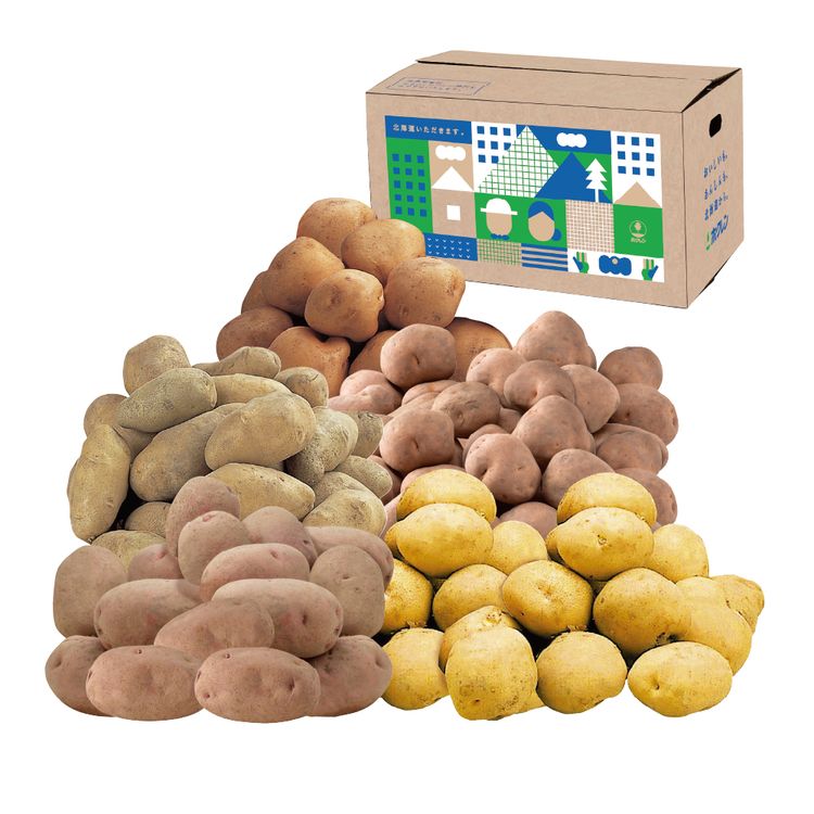 じゃがいも 40952-1_4.jpg