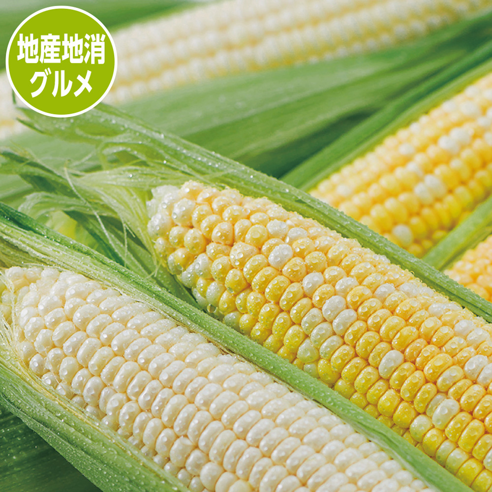 とうもろこし2種セット | イオン北海道 eショップ とうもろこし2種セット | イオン北海道 eショップ