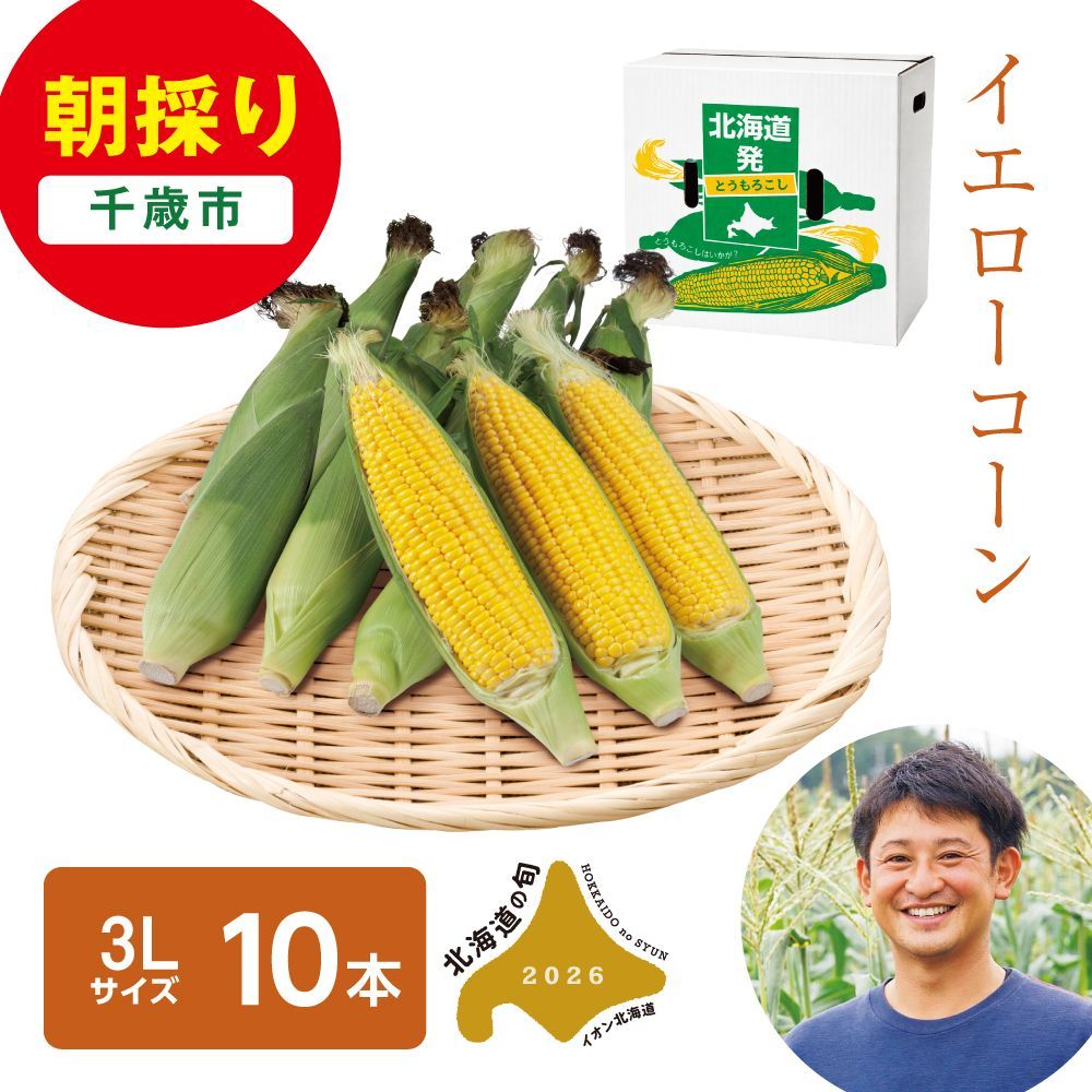 早出し高松さんの朝採り イエローコーン | イオン北海道 eショップ