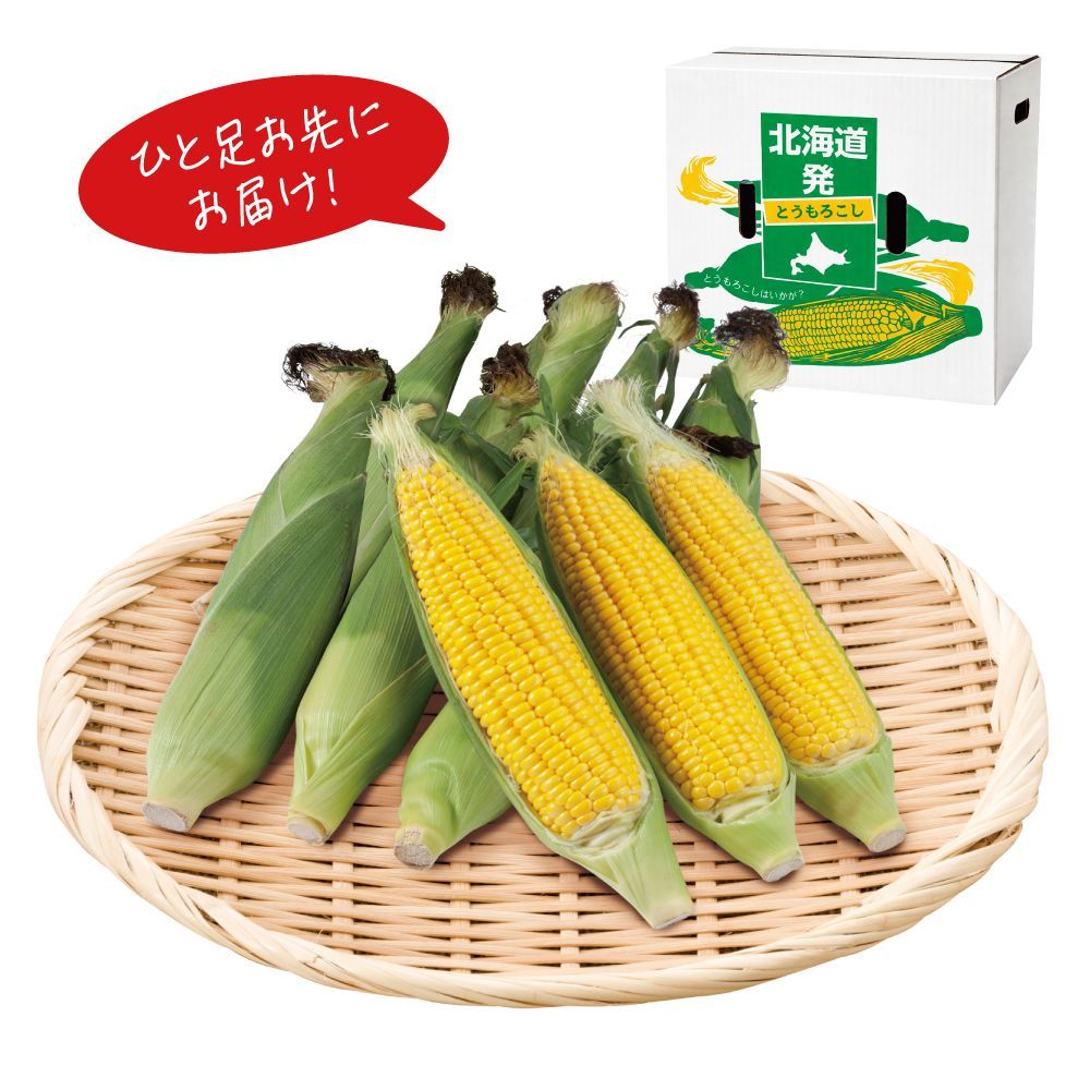 早出し高松さんの朝採り イエローコーン | イオン北海道 eショップ