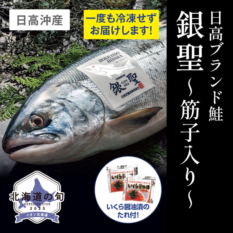 〒ゆかり　北海道産秋鮭メス 楽天市場】【北海道産】秋鮭メス 1本（約2.5～3kg） 生鮮品