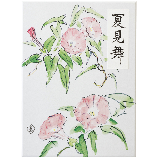 六花 六花セレクト夏見舞21個入 | イオン北海道 eショップ