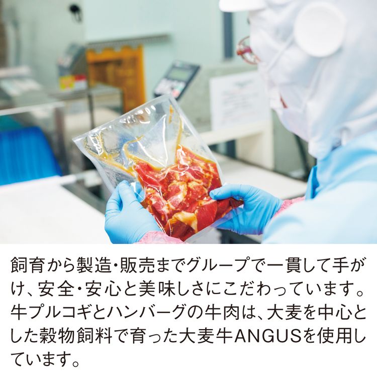 ファイターズ 牛肉ハンバーグセット | イオン北海道 eショップ