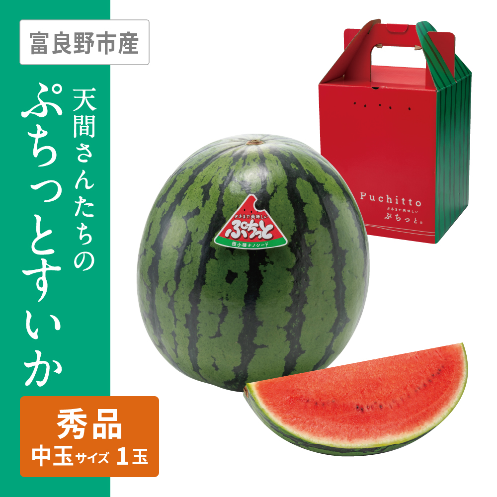 天間さんのぷちっとすいか | イオン北海道 eショップ