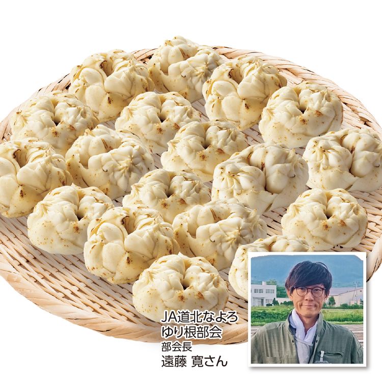 ゆりねさん専用 百合根（ゆりね）』北海道産 2〜3L 約2kg（9〜13