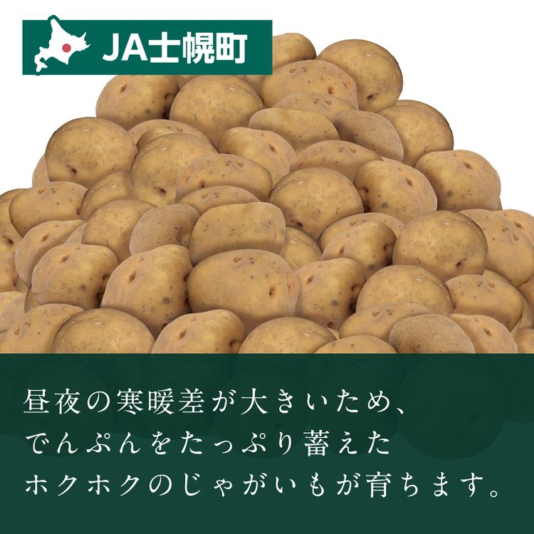 AI北海道産　訳あり　とうや　40キロ きたあかり | イオン北海道 eショップ