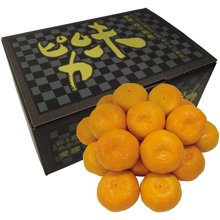 【新品】 きみが死ぬまで恋をしたい　カンバッジ　ミミ　ピクニック　9個セット EXPO2025 ミャクミャク 【JR 7 Character All Stars】 ピンバッジ