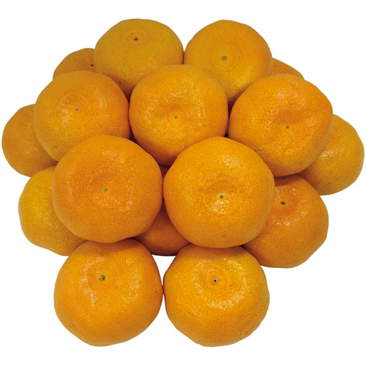 味ピカみかん | イオン北海道 eショップ