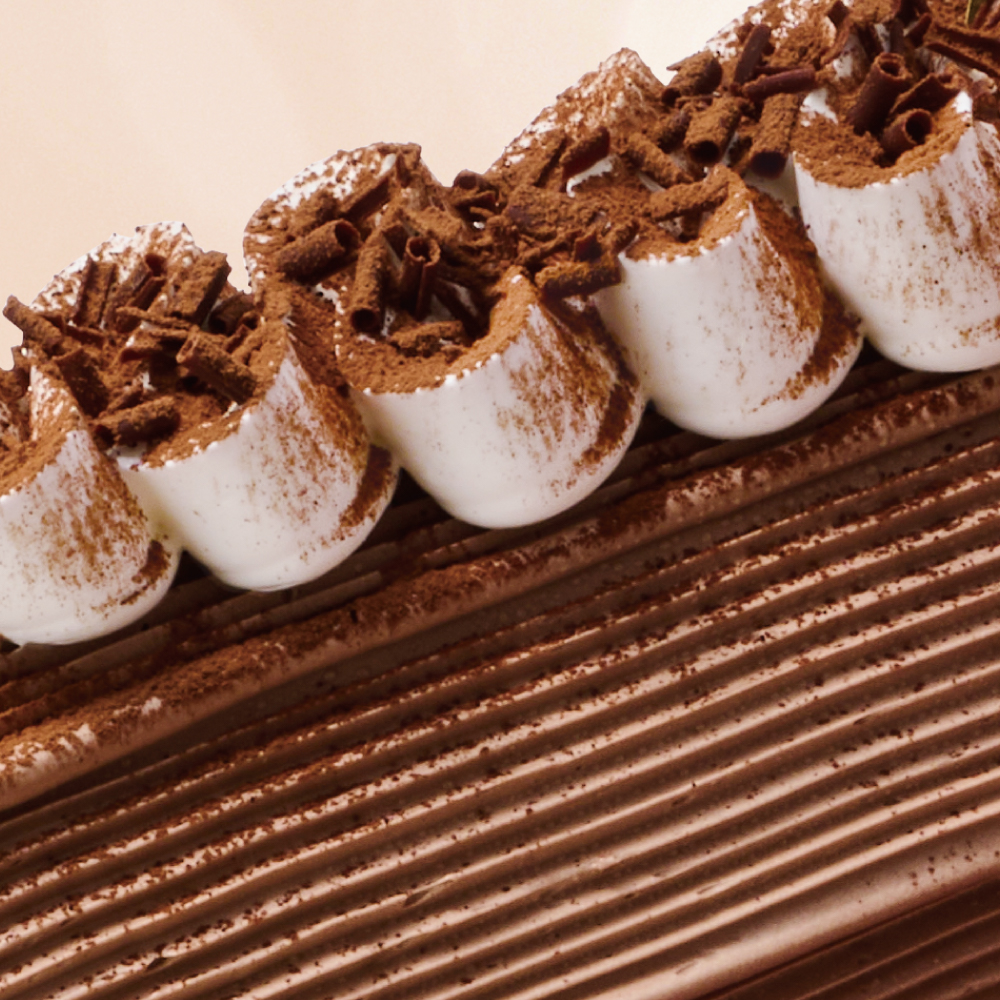 ヴァローナ ビュッシュドノエル型 中10個 ヴァローナ ビュッシュドノエル型 中10個