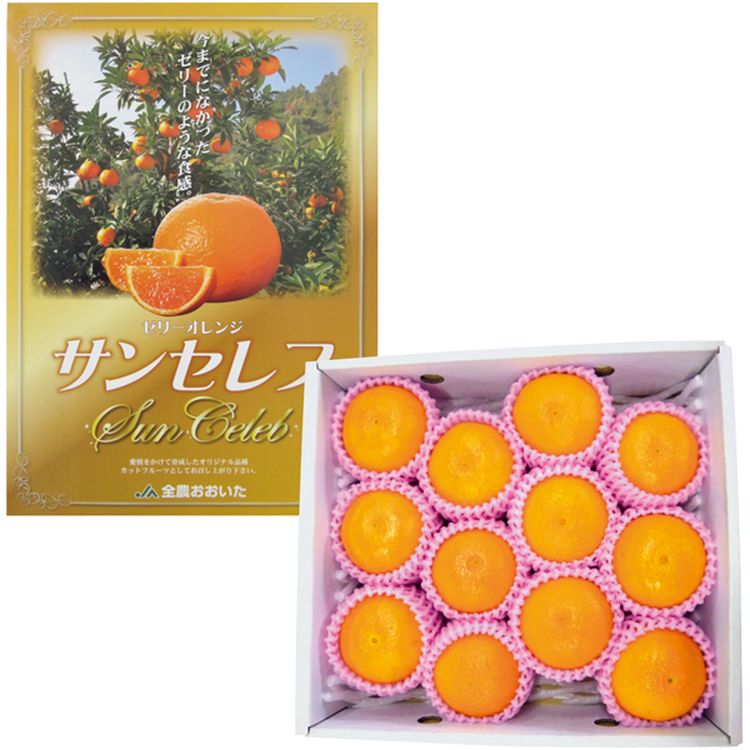 オレンジ　セレビィ ゼリーオレンジ・サンセレブ | イオン北海道 eショップ