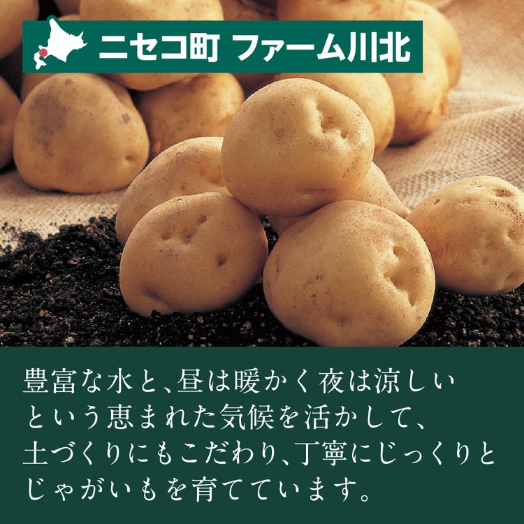男爵芋 | イオン北海道 eショップ
