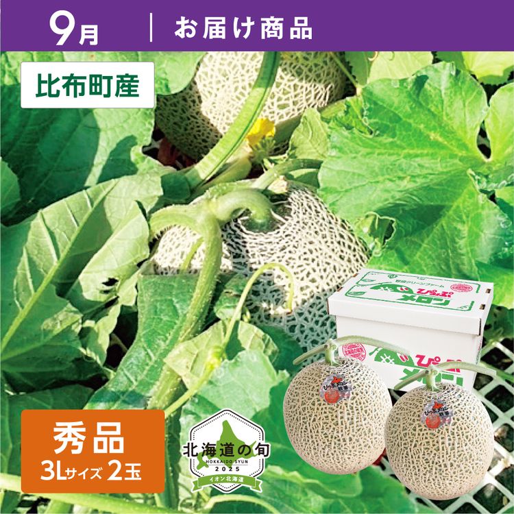 9月お届け商品】菅原さんのぴっぷメロン秋麗（あきうらら） 秀品