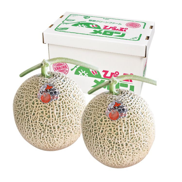 メロン 9月お届け商品】菅原さんのぴっぷメロン秋麗（あきうらら） 秀品