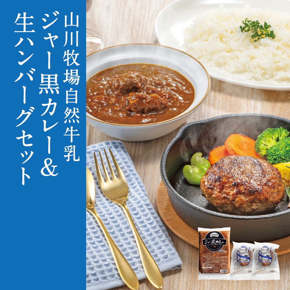 ジャー黒カレー＆生ハンバーグセット | イオン北海道 eショップ