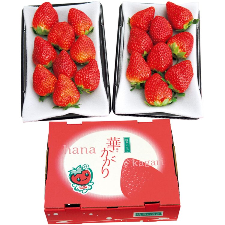 岐阜いちご「華かがり」 | イオン北海道 eショップ
