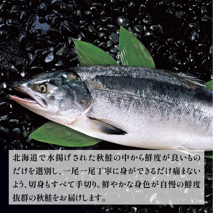 ヒロ　秋鮭メス 秋鮭(メス・筋子入り) | イオン北海道 eショップ