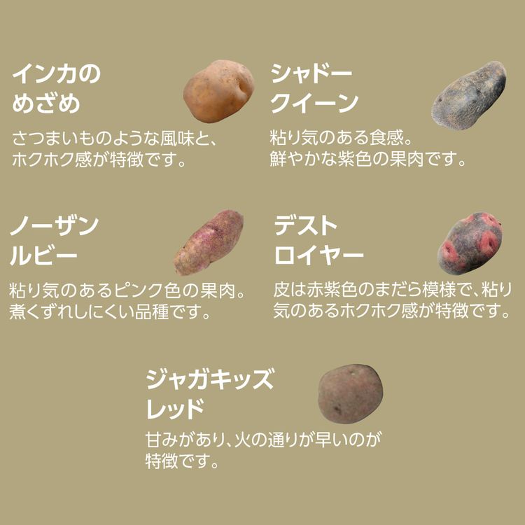 じゃがいも10種の詰合せ | イオン北海道 eショップ