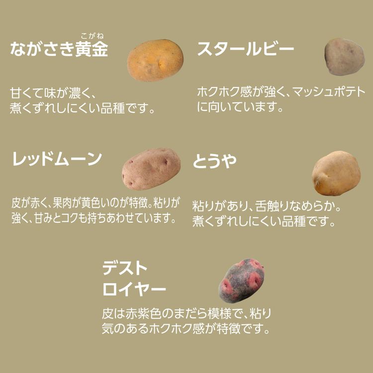 理由ありじゃがいも人気5種の詰合せ | イオン北海道 eショップ