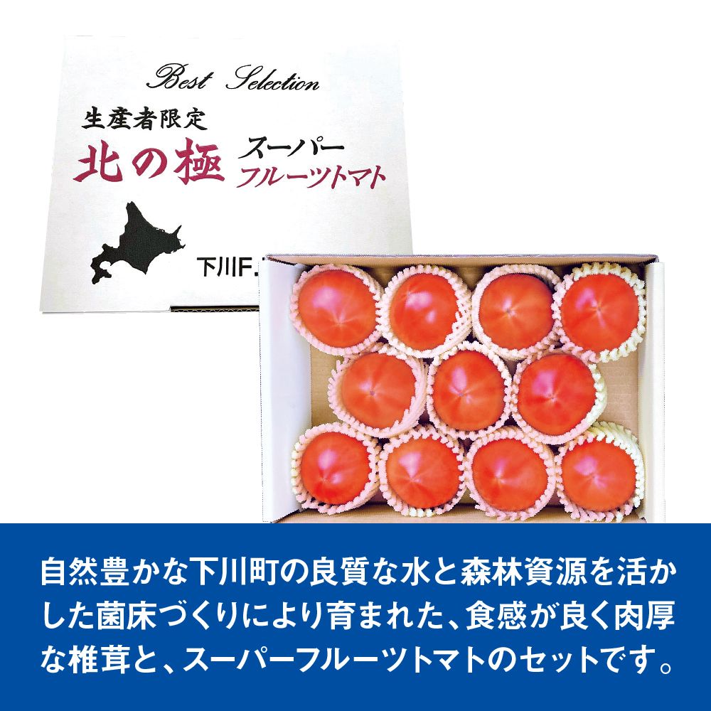 8月お届け商品】北の極スーパーフルーツトマト(生産者限定品) | イオン