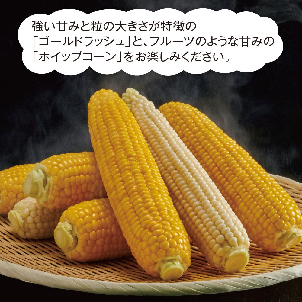 8月お届け商品】とうもろこし(ゴールドラッシュ・ホイップコーン