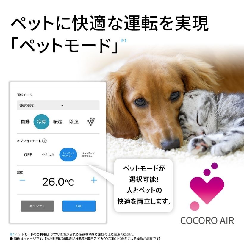 お掃除エアコン 省エネ基準達成無線LAN内蔵 プラズマクラスター25000