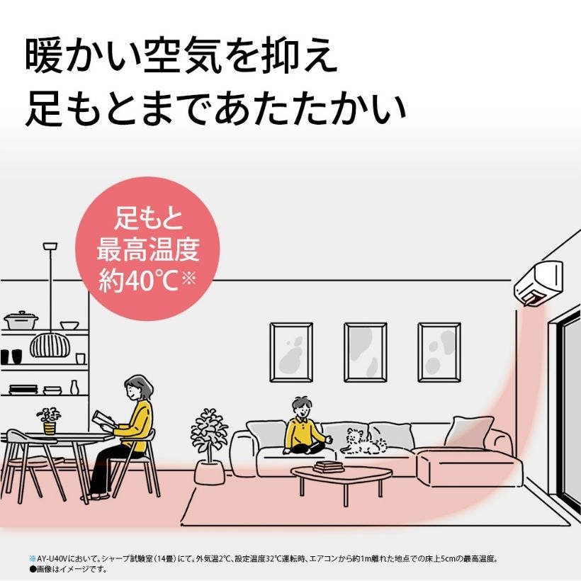 お掃除エアコン 無線LAN内蔵 プラズマクラスター25000 お掃除メカ付
