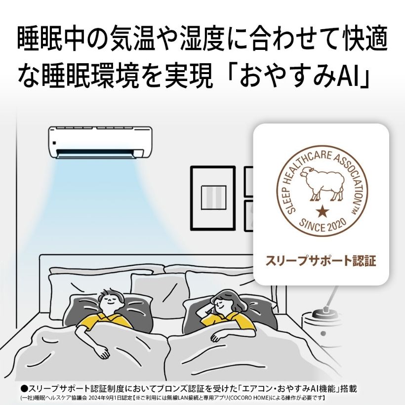 お掃除エアコン 無線LAN内蔵 プラズマクラスター25000 お掃除メカ付
