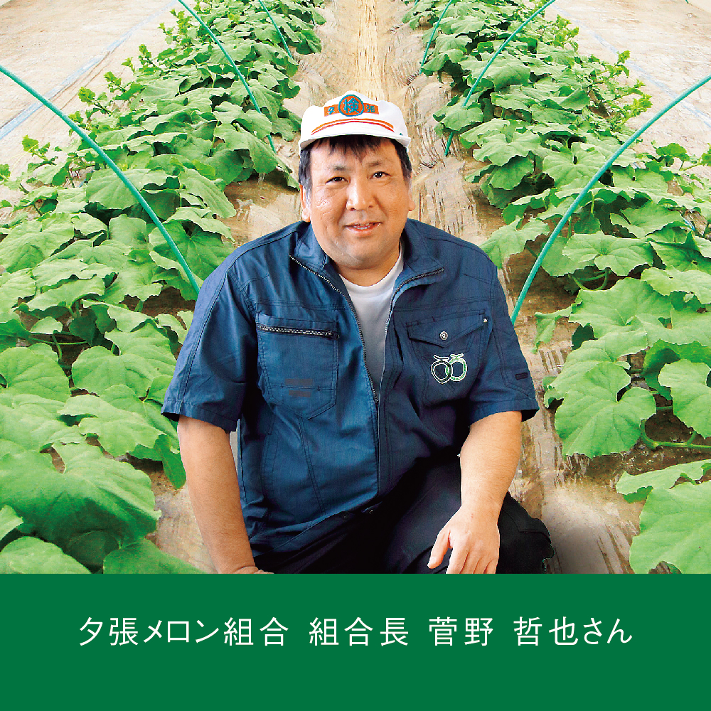 夕張メロン 優品 | イオン北海道 eショップ