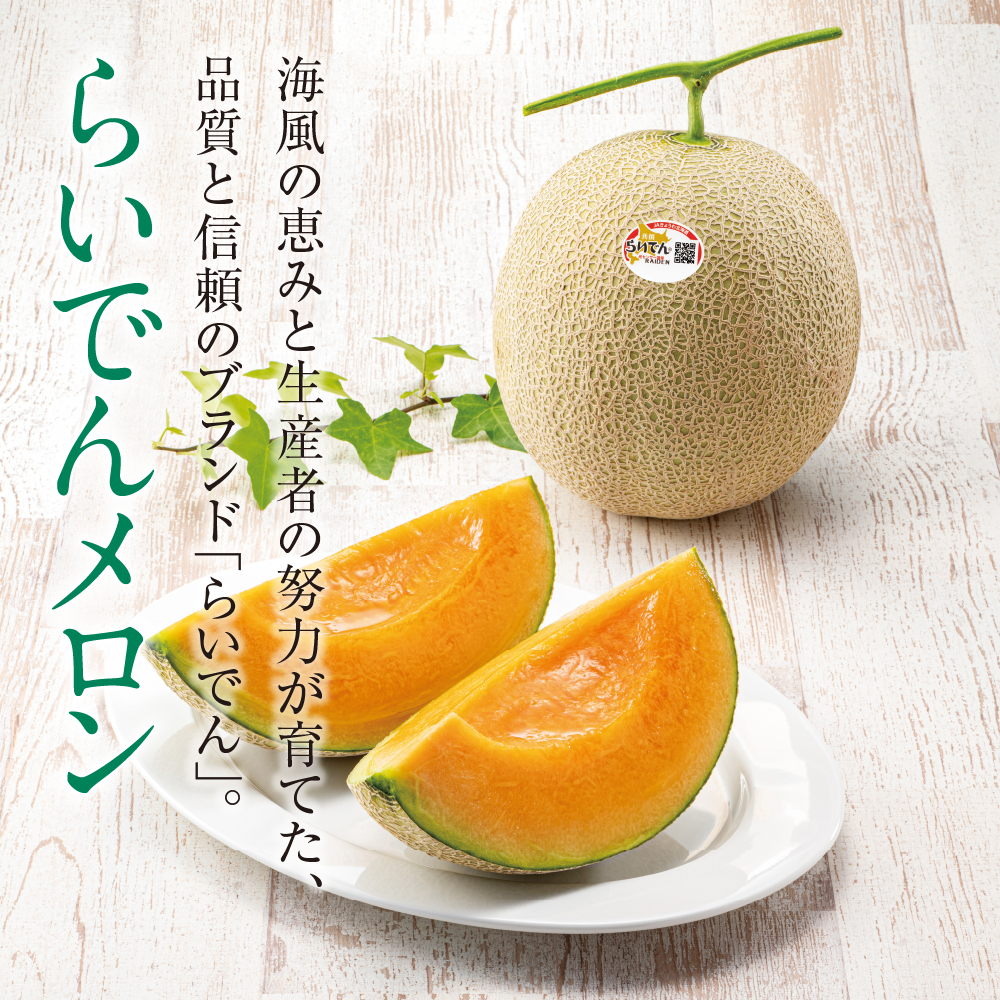 らいでんメロン＆涼ごこちゼリーセット | イオン北海道 eショップ