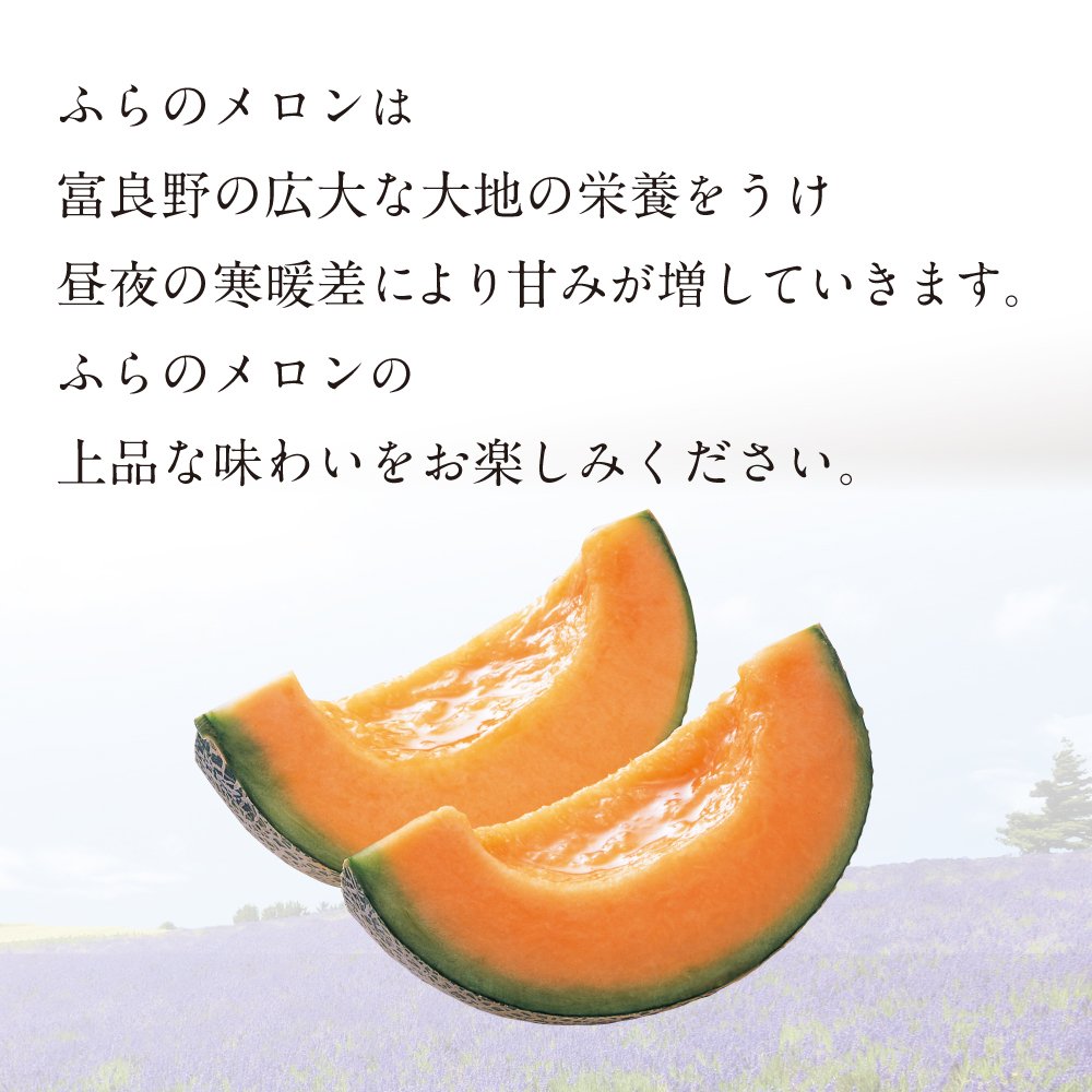 ふらのメロン＆夕張メロンピュアゼリーセット | イオン北海道 eショップ