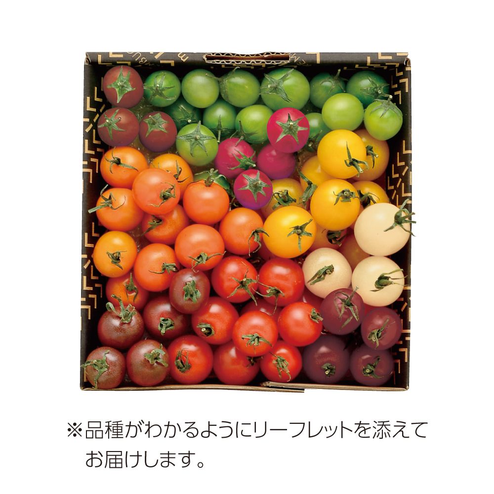 8月お届け商品】カラフルミニトマト | イオン北海道 eショップ