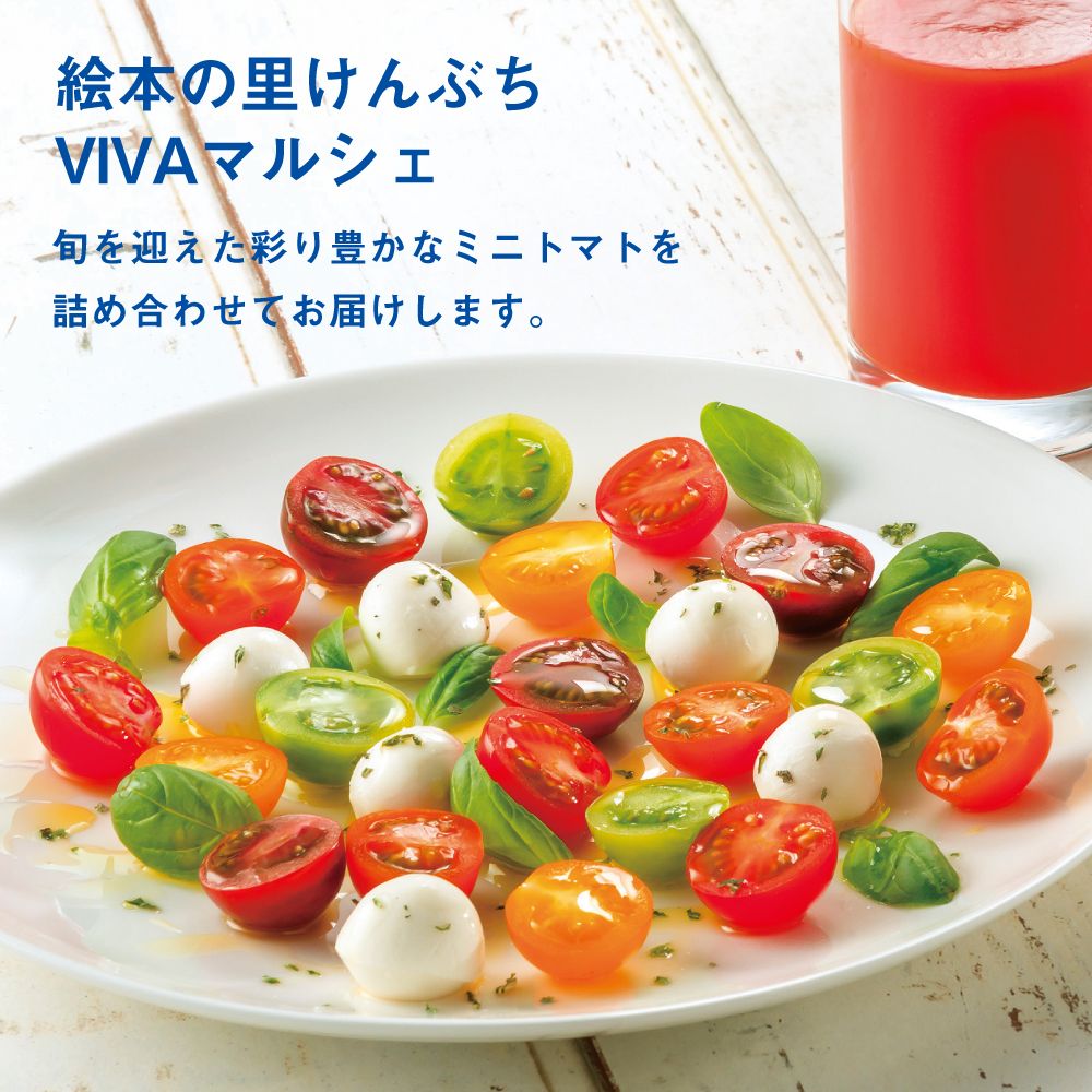 8月お届け商品】カラフルミニトマト | イオン北海道 eショップ