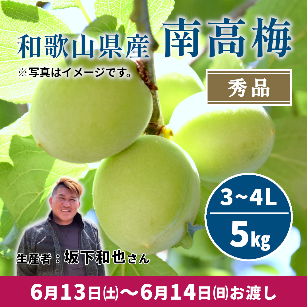 南高梅 秀品 3L～4Lサイズ 5kg | イオン北海道 eショップ