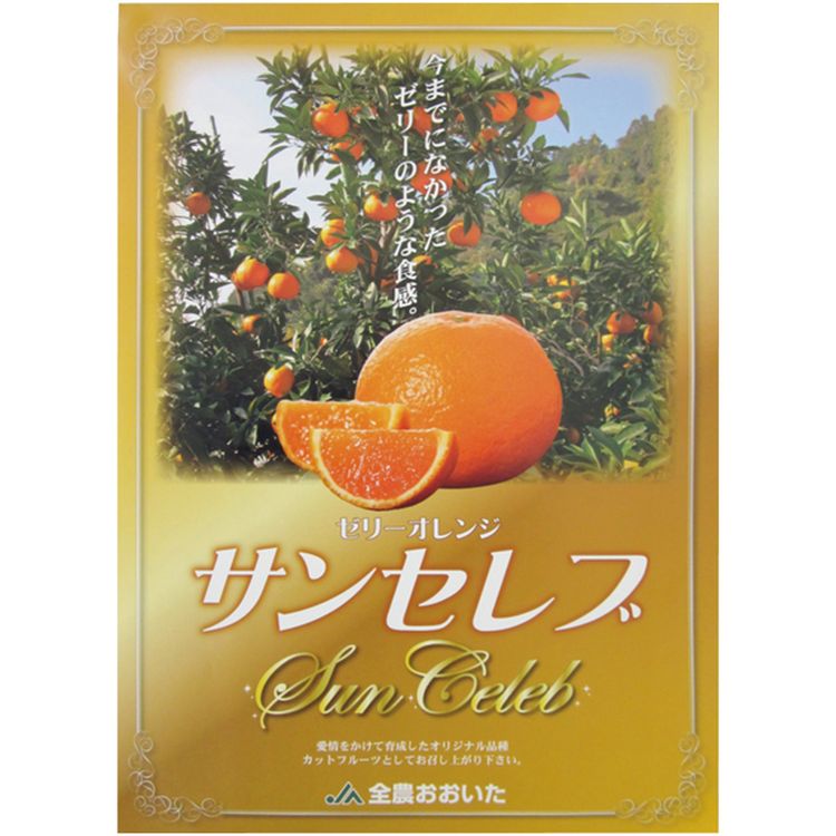 ゼリーオレンジ・サンセレブ | イオン北海道 eショップ