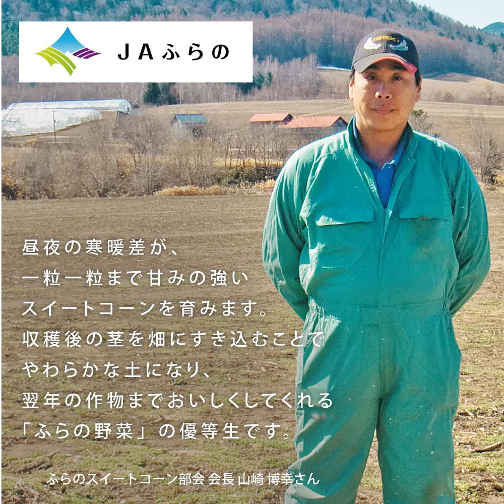 ハウス栽培 ゴールドラッシュ＆西山ラーメンセット | イオン北海道 e