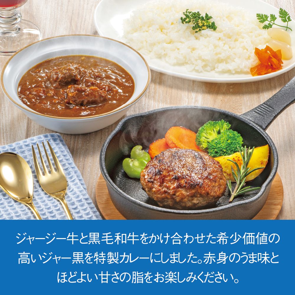 ジャー黒カレー＆生ハンバーグセット | イオン北海道 eショップ