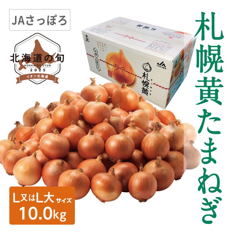 札幌黄たまねぎ　L又はL大サイズ10.0kg