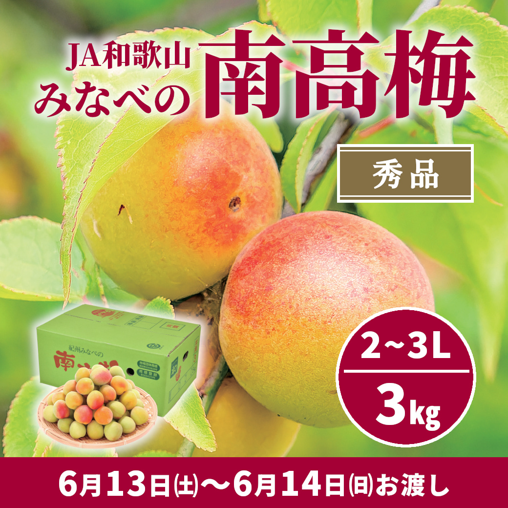青梅 L～2Lサイズ 5kg | イオン北海道 eショップ
