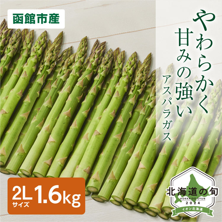 ハウス栽培 グリーンアスパラガス　2Lサイズ1.6kg