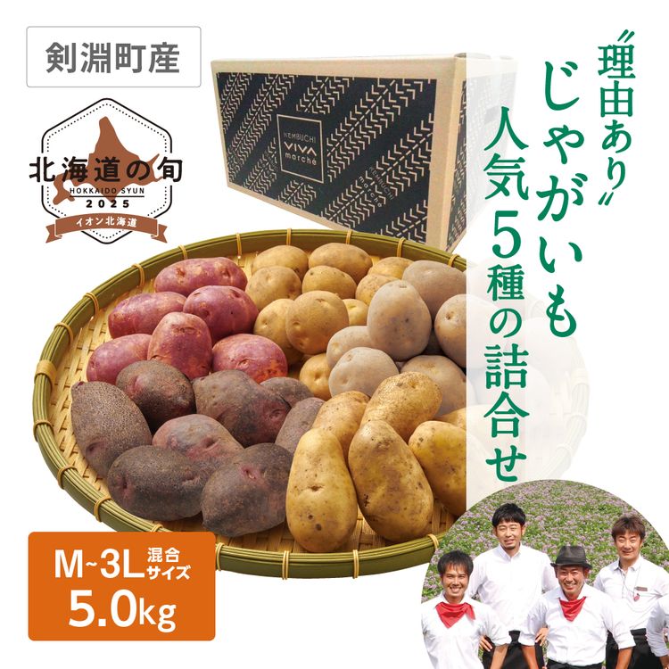 理由ありじゃがいも人気5種の詰合せ　5種各M~3Lサイズ混各1.0kg